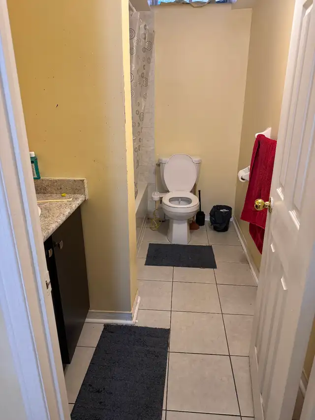 1 Bedroom basement apartment in Brampton for Rent - May 1, 2026 - Photo 7