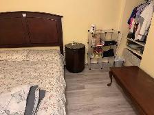 1 Bedroom basement apartment in Brampton for Rent - May 1, 2026 - Photo 9