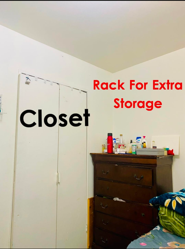 Room for 1  Girl in Sharing  with Pbi food-$500-Malton - Photo 2