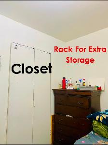 Room for 1  Girl in Sharing  with Pbi food-$500-Malton - Photo 2