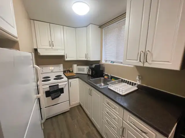 476 Albert St, Ready for May 1st! Minutes from Queens Campus! - Photo 5