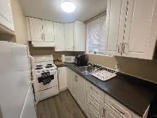 476 Albert St, Ready for May 1st! Minutes from Queens Campus! - Photo 5