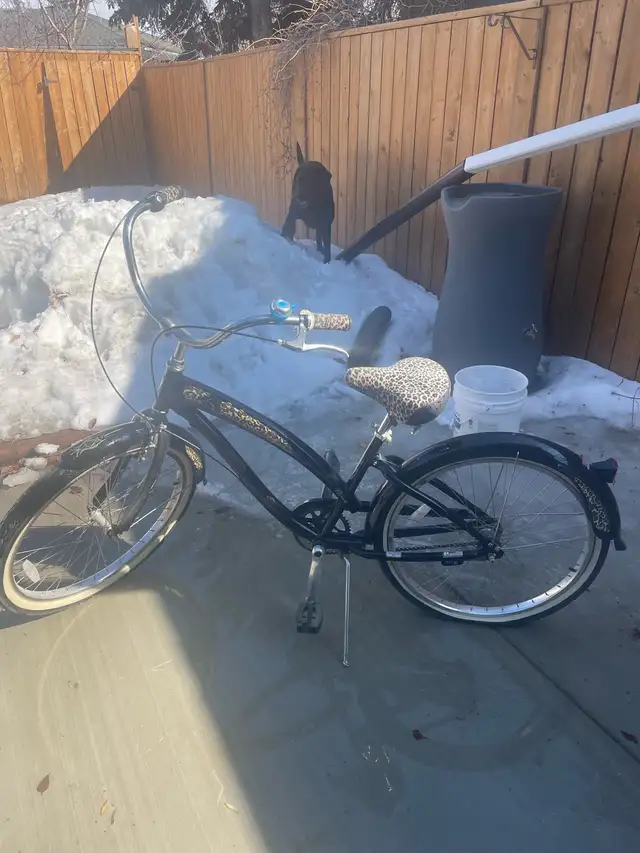 Nirve Cruiser Bike