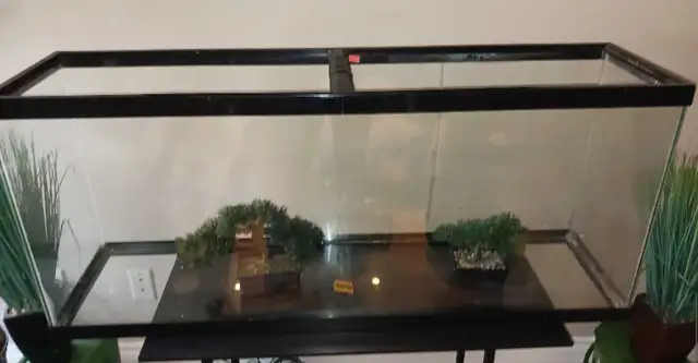 Fish Tank 48Gallon 48L×21H×12D $75 O.B.O - Photo 2