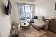 Airbnb/Furnished Rental/Daily Rental - Photo 3