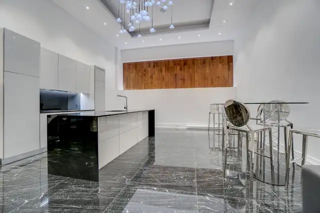 Big 1bdrm Condo Downtown Montreal - Photo 5
