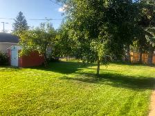 one bedroom suite for rent - Photo 4