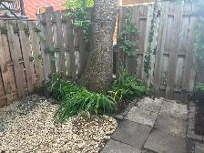 4 1/2 in St-Henri with yard - Photo 13