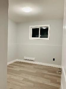 2 BEDROOM BASEMENT SUITE FOR RENT - Photo 7