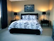 FURNISHED SW HOUSE! ALL UTILITIES! 3BED DEN! IK NET  TV! GARAGE! - Photo 8