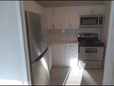 INTERNATIONAL STUDENTS WELCOME YONGE AND EGLINTON SHARED ROOM - Photo 4