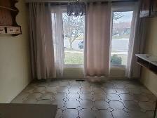 Master Bedroom for Rent Near Humber Collage - Photo 11