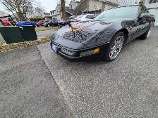 1994 corvette - Photo 2