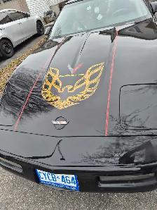 1994 corvette - Photo 3