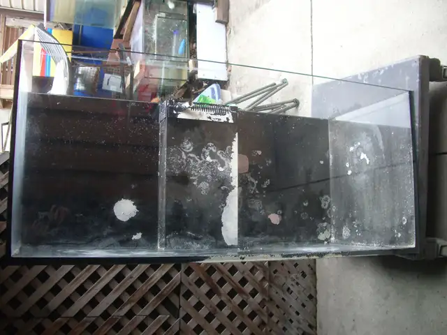 MOVING SALE RED SEA 350  SET UP SALT WATER $450 ( BEST OFFER )