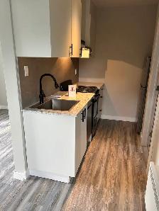 Mini-maison à louer à Verchères bord du fleuve - Photo 5