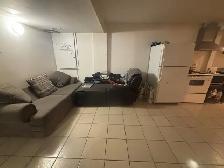 Basement Apartment with bedroom 1