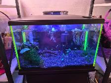 Aquarium tout equipee et meuble