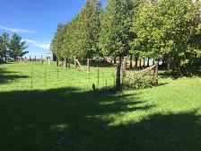 4 Acre land for lease - Near Ancaster - Photo 4