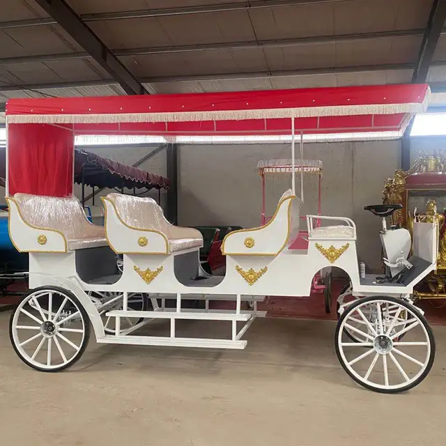 Royal Carriages for rent - Photo 4
