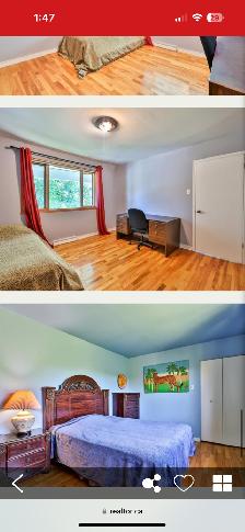 Room for rent/Chambre a louer in a large home - Photo 2