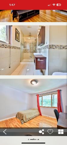 Room for rent/Chambre a louer in a large home - Photo 6