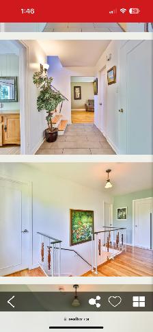 Room for rent/Chambre a louer in a large home - Photo 9