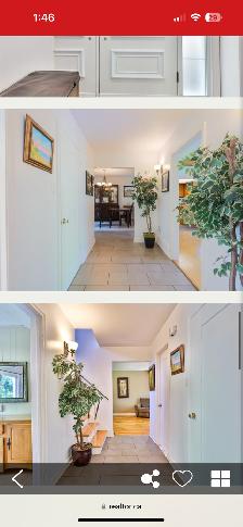 Room for rent/Chambre a louer in a large home - Photo 12