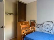 Bright Room near Seneca College - Photo 2