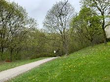 Bright Room near Seneca College - Photo 10