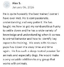 Dog Training - Photo 2