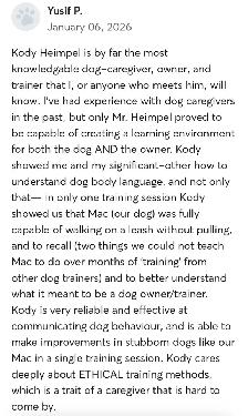 Dog Training - Photo 3