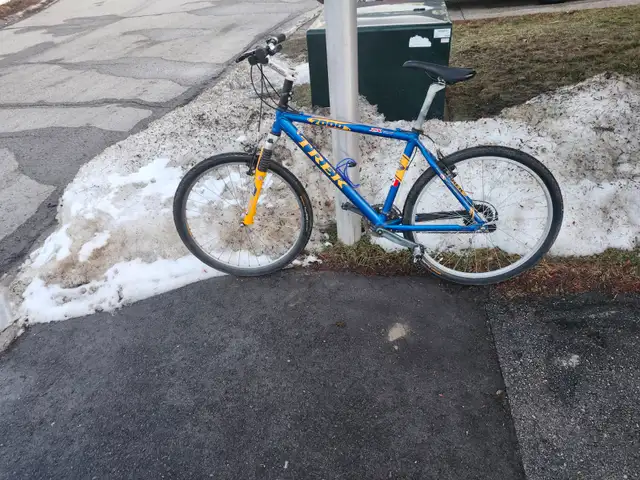 Adult Mountain Bike For Sale