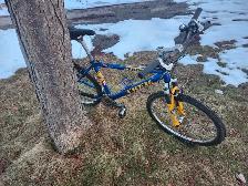 Adult Mountain Bike For Sale - Photo 4