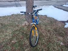 Adult Mountain Bike For Sale - Photo 5