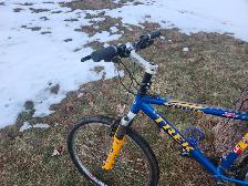 Adult Mountain Bike For Sale - Photo 6