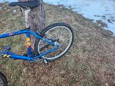 Adult Mountain Bike For Sale - Photo 7