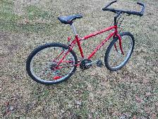 Adult Mountain Bike For Sale