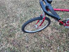 Adult Mountain Bike For Sale - Photo 9