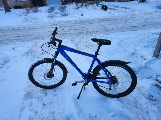 Adult Mountain Bike For Sale