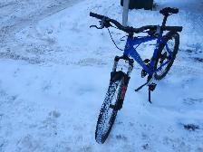 Adult Mountain Bike For Sale - Photo 4