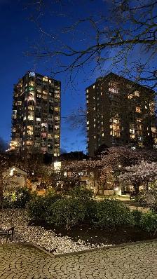 Downtown Vancouver One Bedroom Apartment - Photo 2