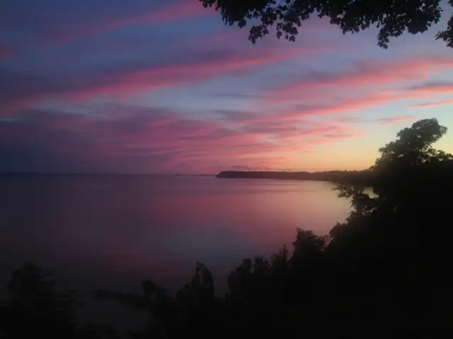 Port Dover Cottage on Lake - Photo 9