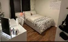 University of Guelph student accommodation room available - Photo 3