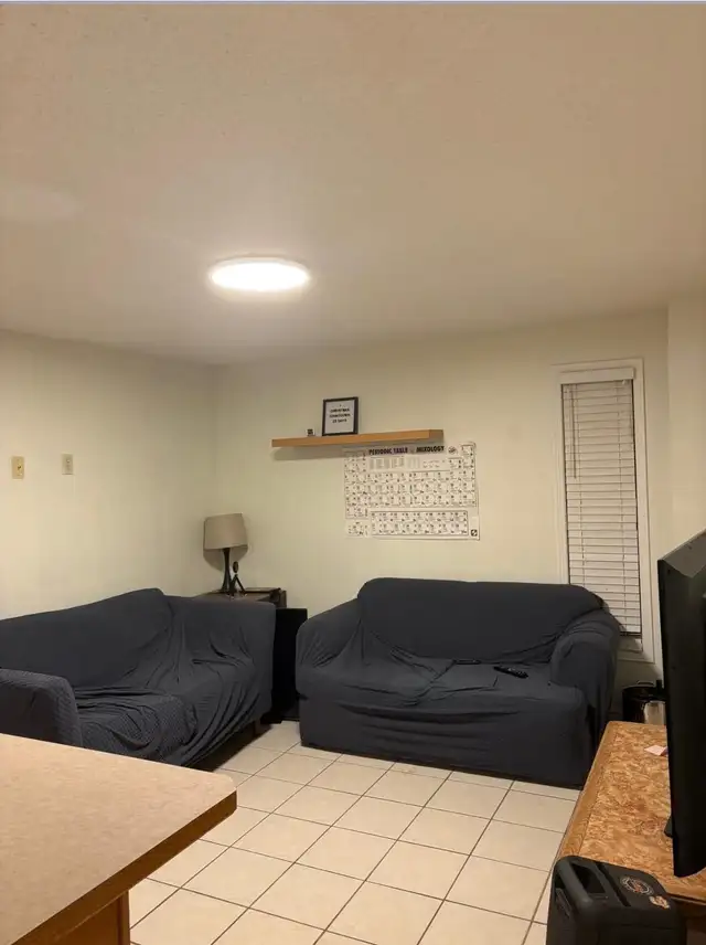 University of Guelph student accommodation room available - Photo 4