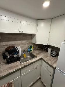 bachelor basement apartment with all utilities incl. - Photo 9