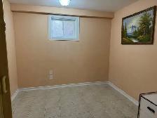 furnished basement - Photo 4