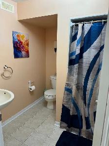 furnished basement - Photo 5