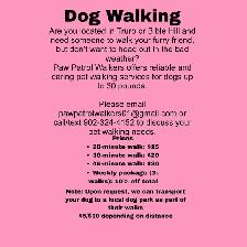 DOG WALKING