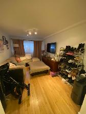 Clark et Jean Talon (Le Plateau), 3 ½ - Photo 8